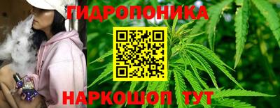 ГАЛЛЮЦИНОГЕННЫЕ ГРИБЫ Лесосибирск