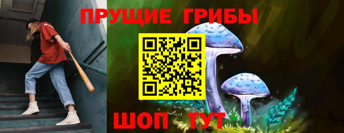 Галлюциногенные грибы прущие грибы  Вход с VPN  Учалы 